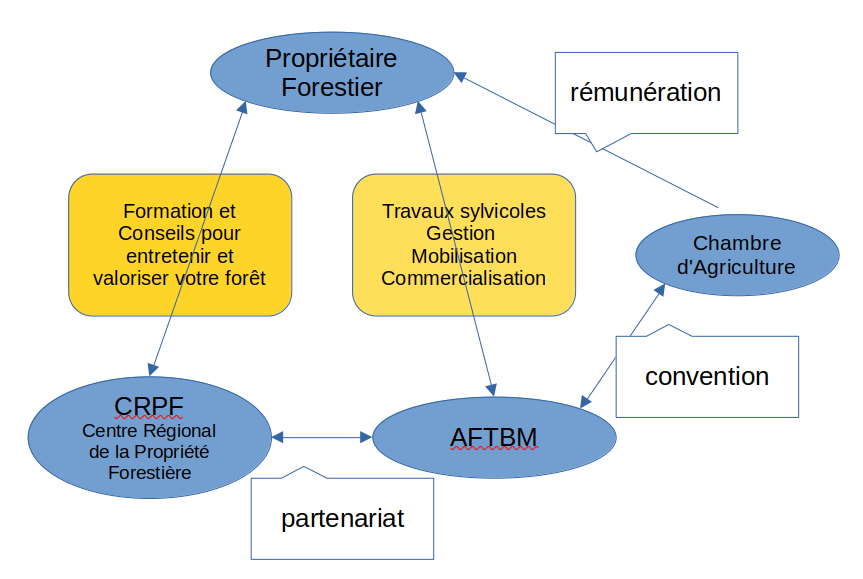 Schéma Roles V1